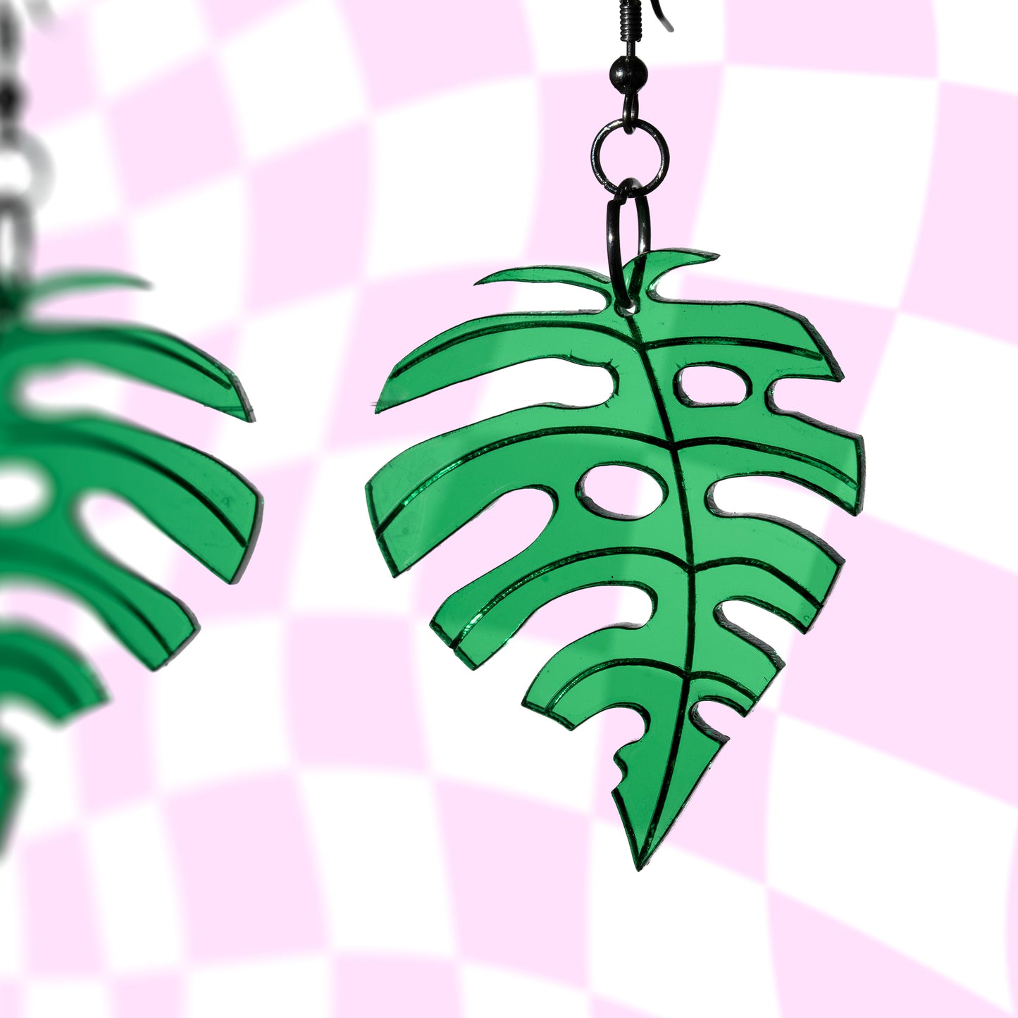 Monstera